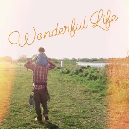 wonderful-life.jpg